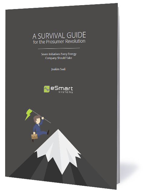 A Survival Guide_Cover.png