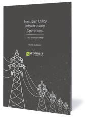 Next Gen Utility Infrastructure Operations_Cover.png